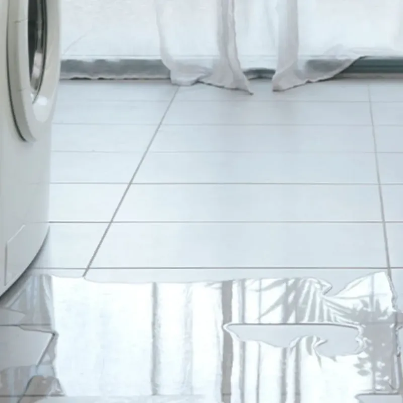 Appliance Leak Cleanup in Bolivar, WV