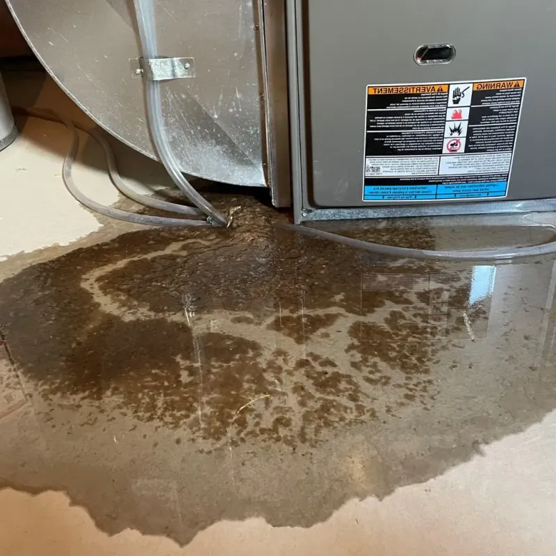 Pipe Burst and Leak Restoration in Bolivar, WV