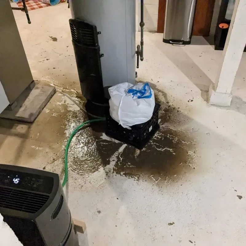 Sewage Backup Cleanup Service in Bolivar, WV